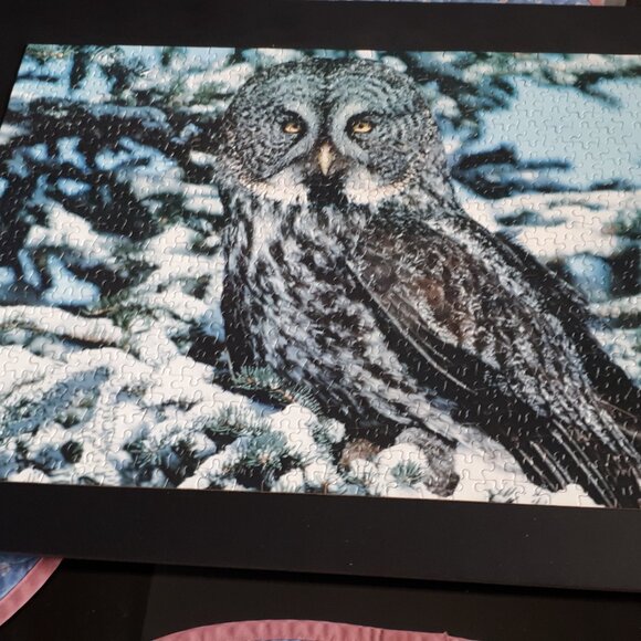 10-in-1 Deluxe Jigsaw Puzzle Set - Multicolor - Picture 13 of 16